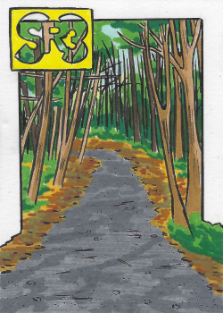 Day 3: Trail