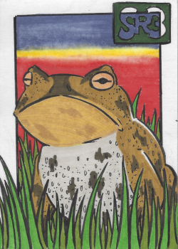 Day 8: Toad